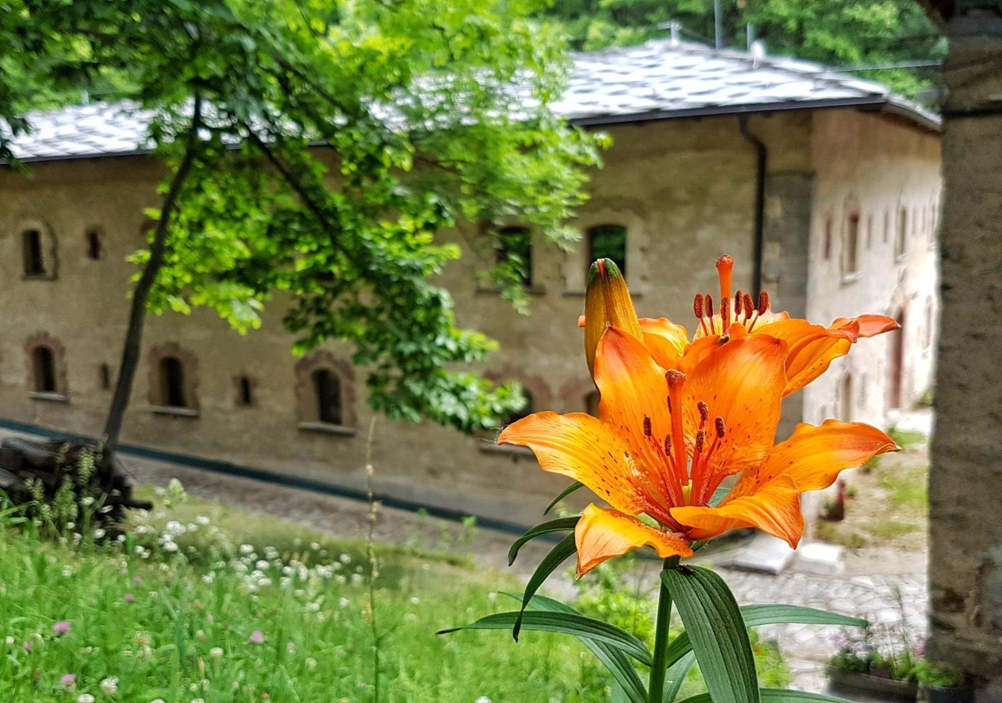 Forte Di Machaby Hostel Arnad Kültér fotó